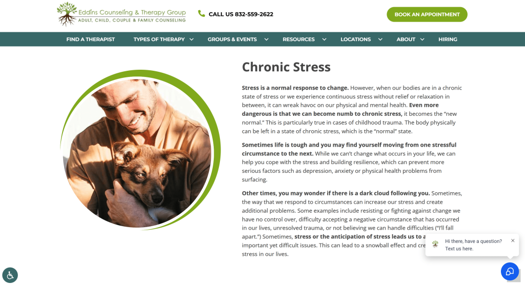 Eddins Counseling website screenshot.