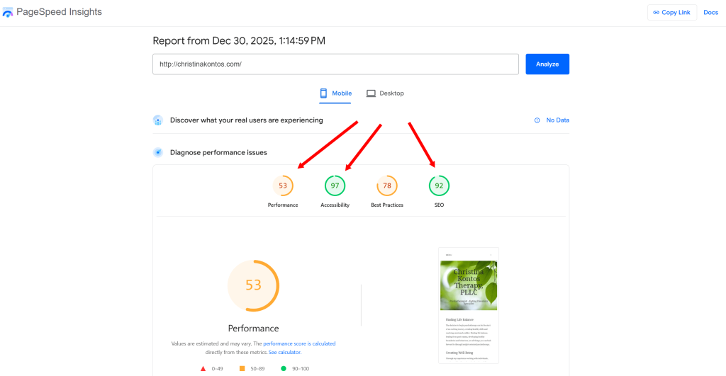 Google Pagespeed Insights results page.