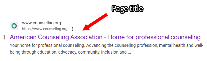 Page title for a website on a Google Search result.
