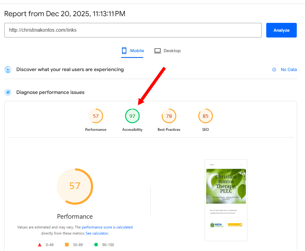 Google Pagespeed Insights main page.